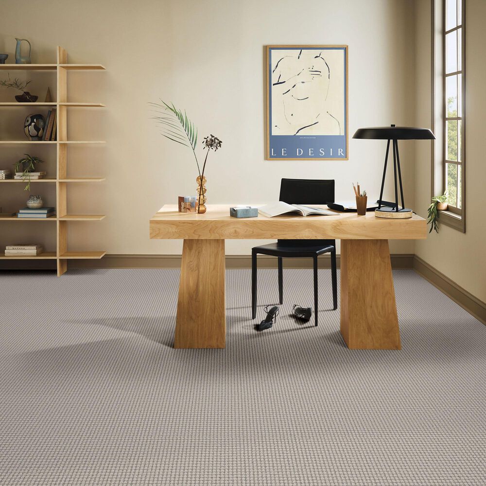 Anderson Tuftex Rhode Carpet in Morning Dew, , large