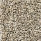 Shaw Frosting Net Carpet in Salty Butter, , large