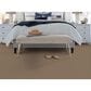Masland Beach Life Carpet in Boardwalk, , large