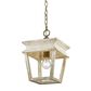 Golden Lighting Haiden Mini Pendant in Burnished Chestnut, , large