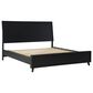 Ashley Danziar Queen Panel Bed in Matte Black, , large