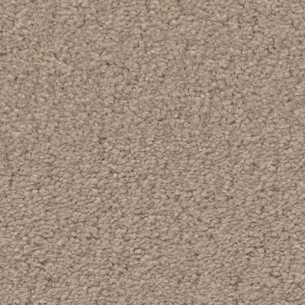 Anderson Tuftex Finery Carpet in Pebble Path, , large