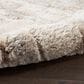 Nourison Dreamy Shag 4" x 6" Ivory and Beige Area Rug, , large