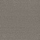 Lexmark Carpet Mills Hidden Gem Carpet in Basalt, , large