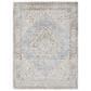 Amer Rugs Century 9" x 13" Gray and Ivory Area Rug, , large