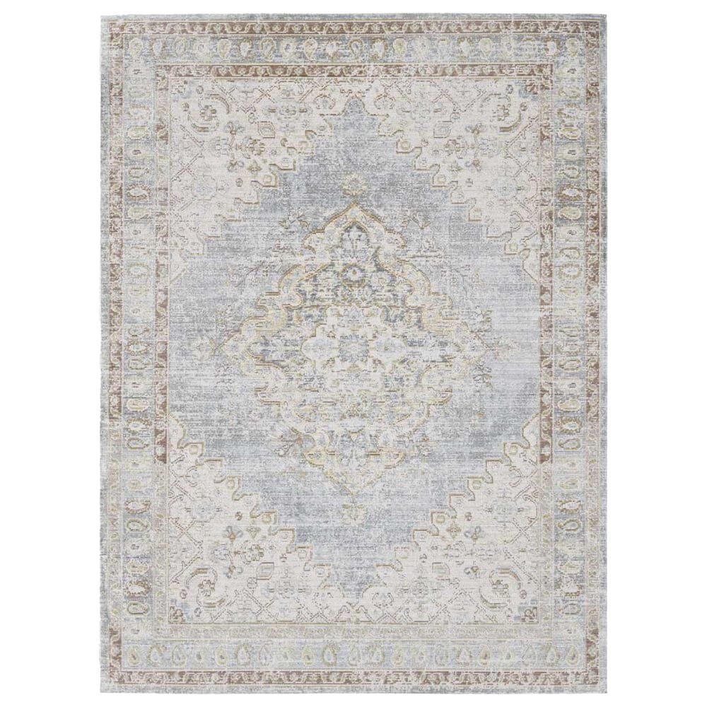 Amer Rugs Century 9" x 13" Gray and Ivory Area Rug, , large