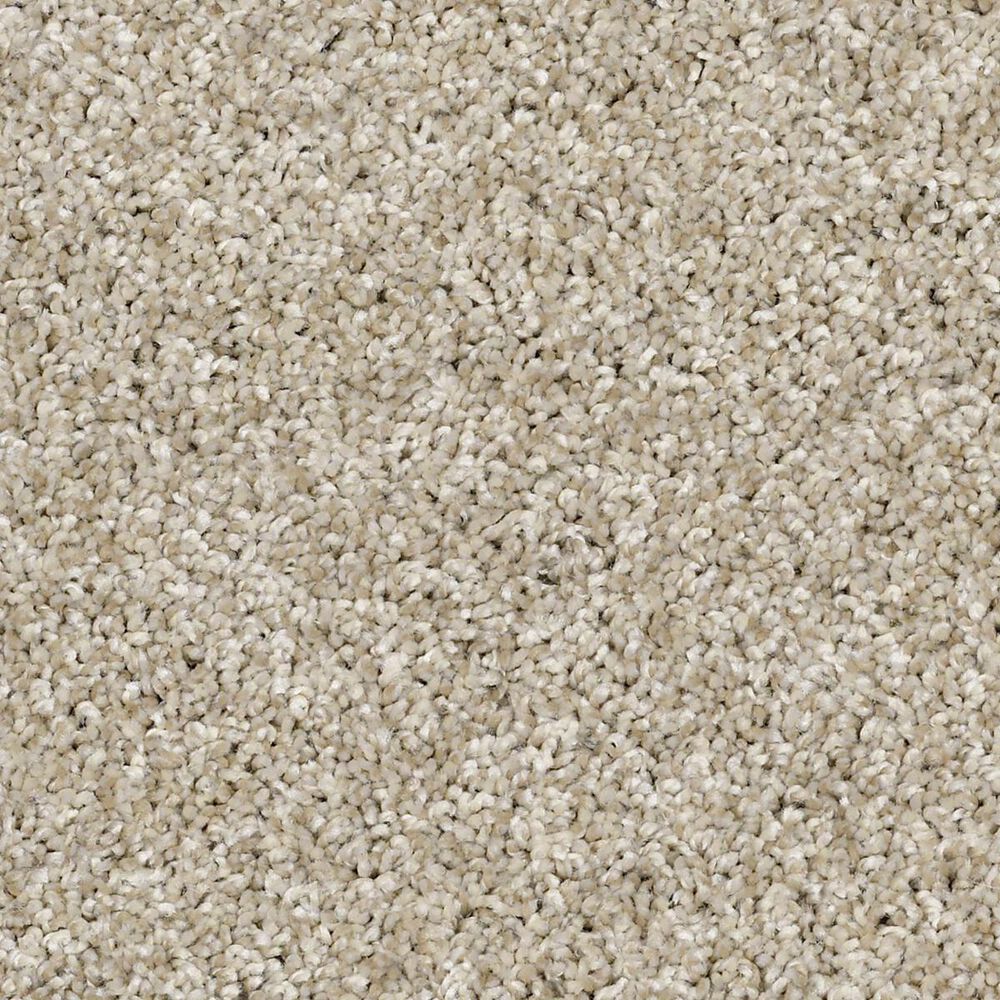 Shaw Work The Color Net Carpet in Biscotti NFM