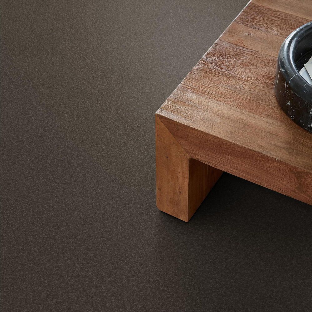 Shaw Hard At Play II Carpet in Urban Rustic, , large