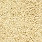 Masland Shangri La Too Carpet in Beautiful, , large