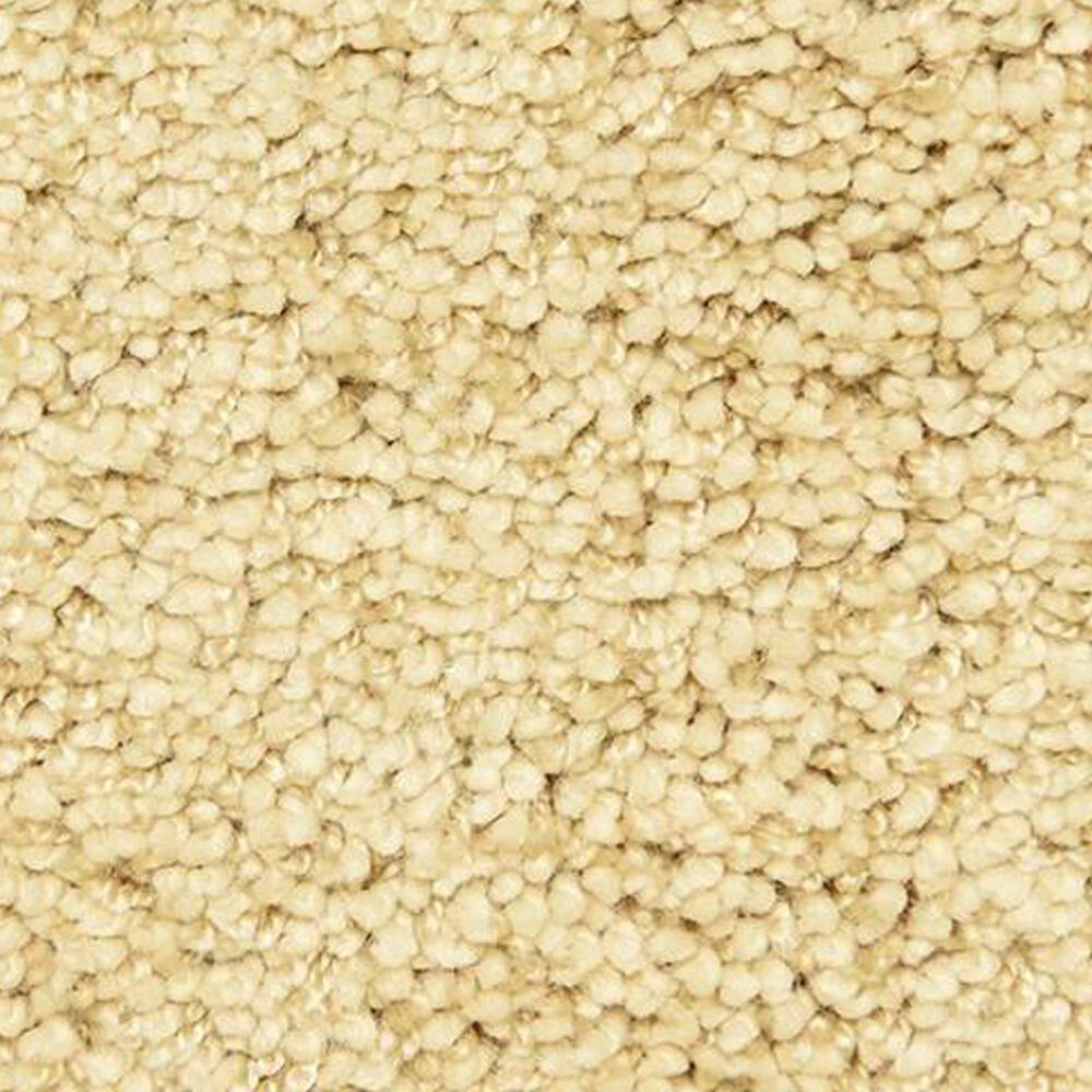 Masland Shangri La Too Carpet in Beautiful, , large
