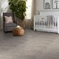 Anderson Tuftex Insightful Journey Carpet in Baltic Stone, , large