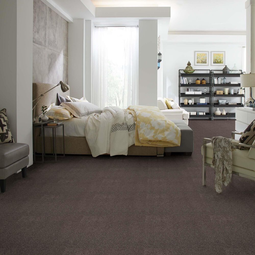Anderson Tuftex Caress Cozy Harbor I Carpet in Burma Brown, , large