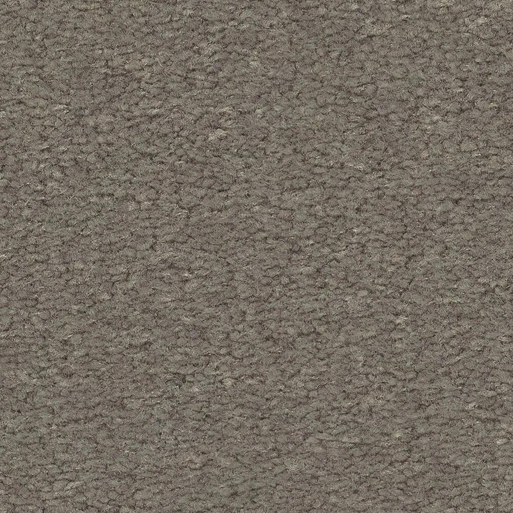 Anderson Tuftex Finery Carpet in Tortoise, , large
