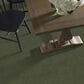 Shaw Easy Spirit II 12" Carpet in Garden View, , large