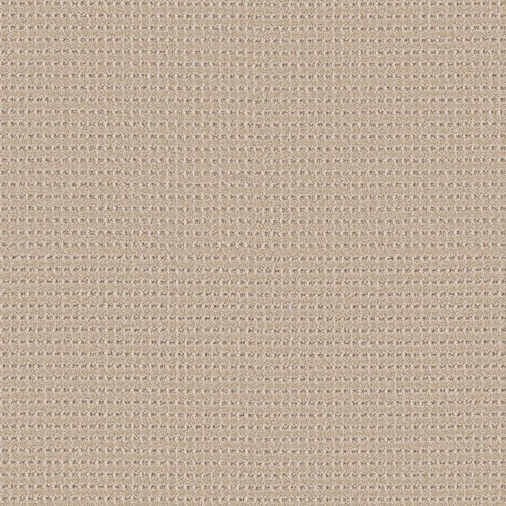 Anderson Tuftex Rhode Carpet in Cashmere, , large