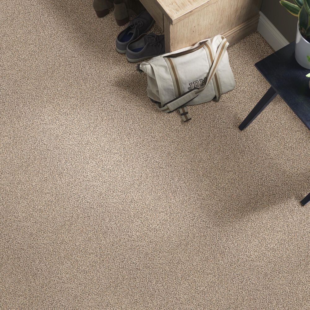 Shaw Foundations Take The Floor Accent II Carpet in Desert Sunrise, , large
