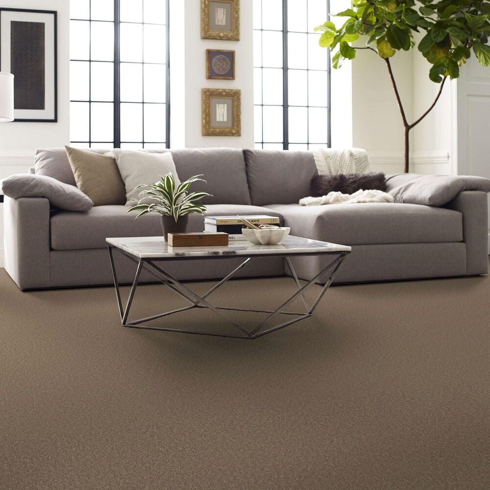 Shaw Way To Go II Carpet in Polo Tan, , large