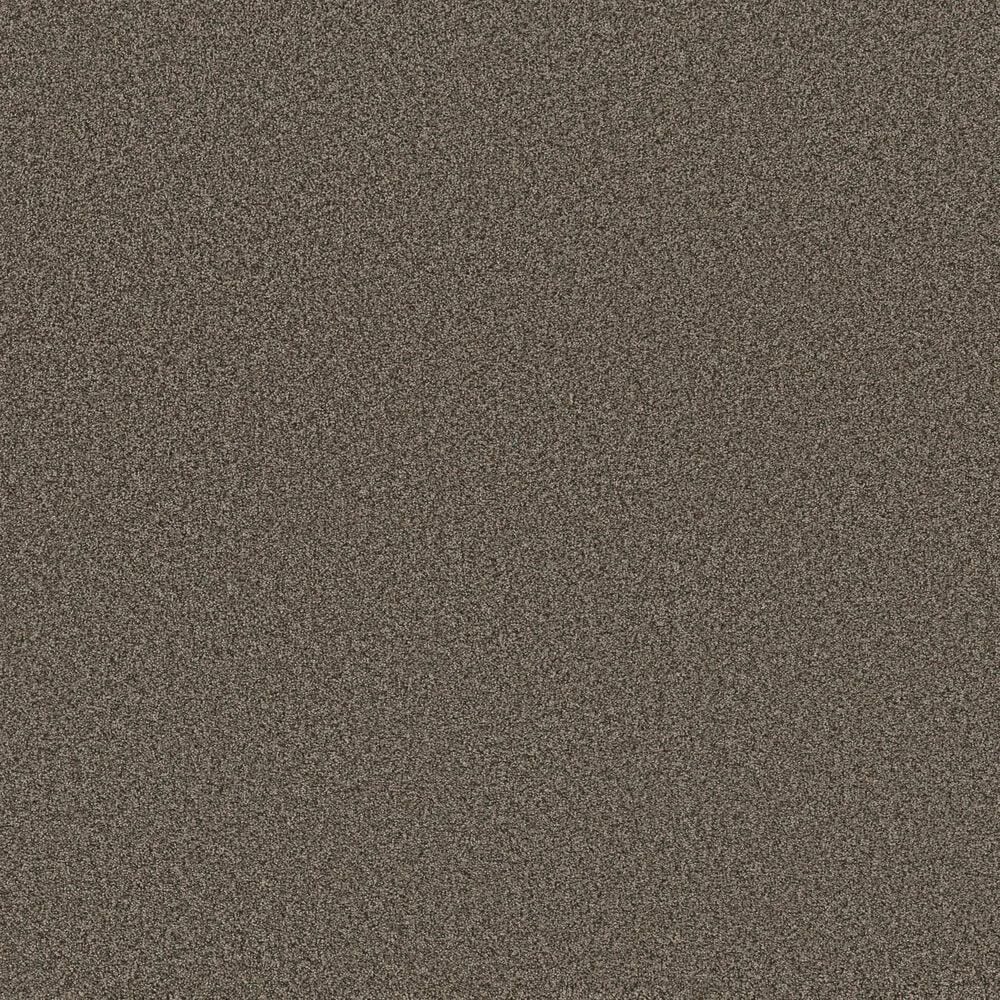Anderson Tuftex Wyndham Estate Carpet in Sable, , large