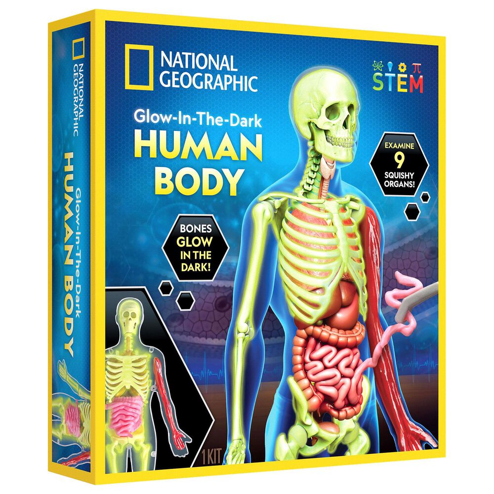 National Geographic Glow-In-The-Dark Human Body Interactive Anatomy Toys, , large