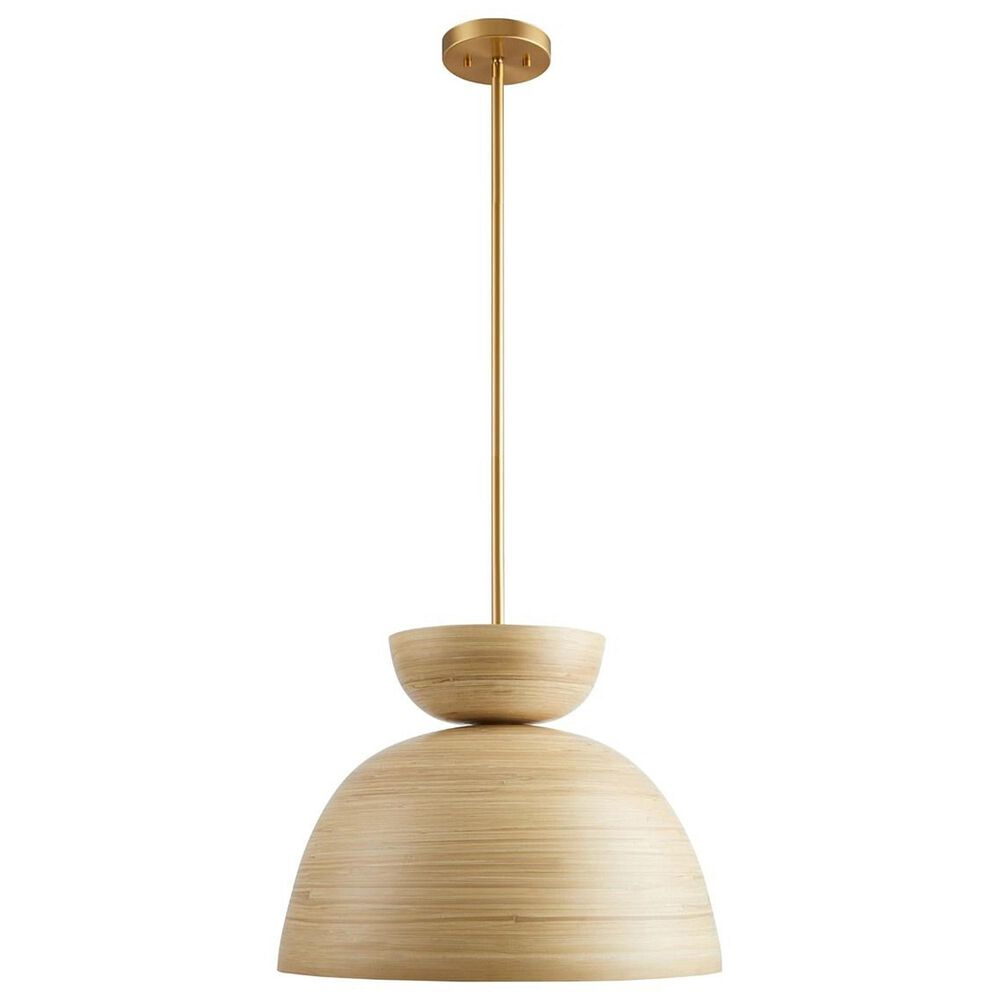 Savoy House Agave 1-Light Pendant in Gold, , large