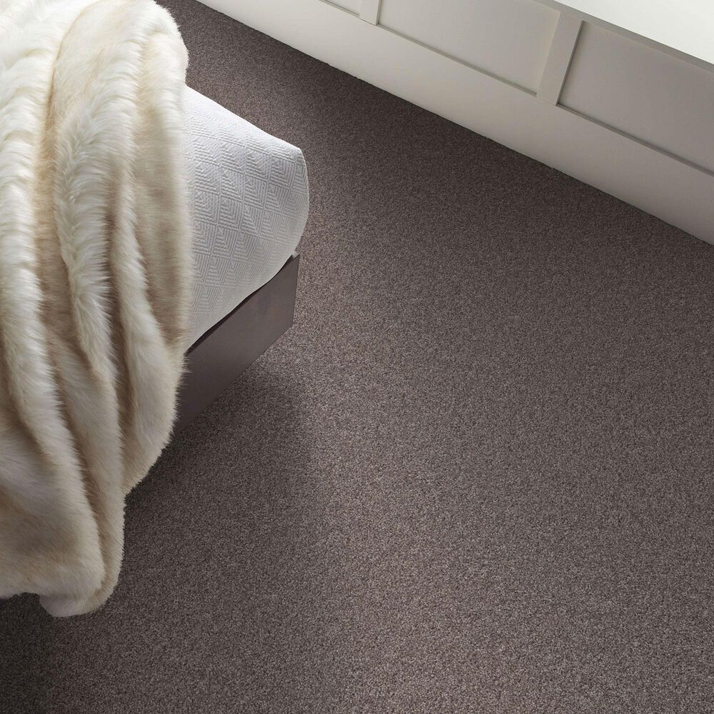 Shaw Agility Carpet in Hammerhead, , large