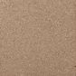 Mohawk Windsor Gardens II Carpet in Spiced Tea, , large