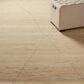 Jaipur Manifest Curium MNI02 6" x 9" Biscotti Area Rug, , large
