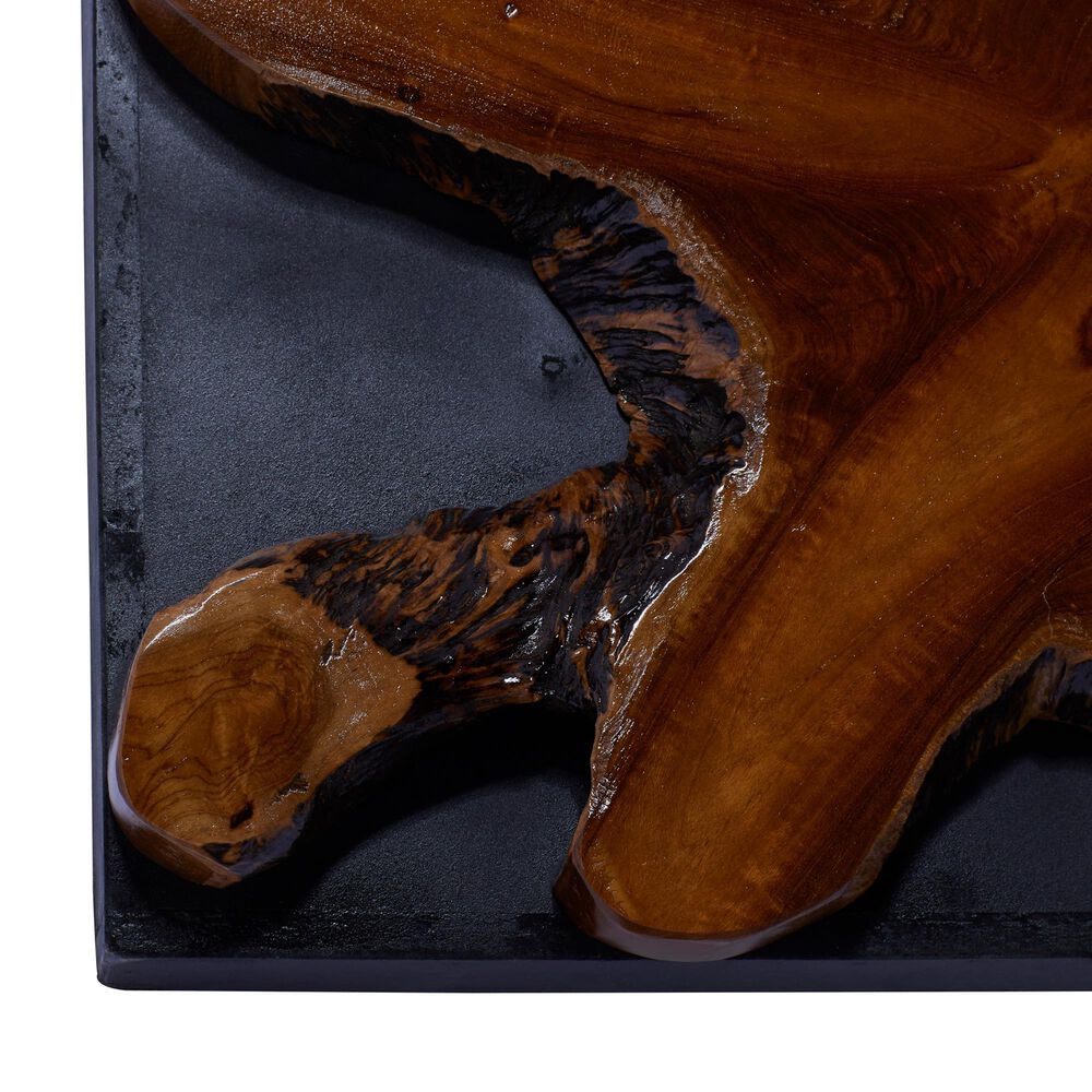 Maple and Jade 36&quot; x 16&quot; Wall Decor in Brown and Black, , large