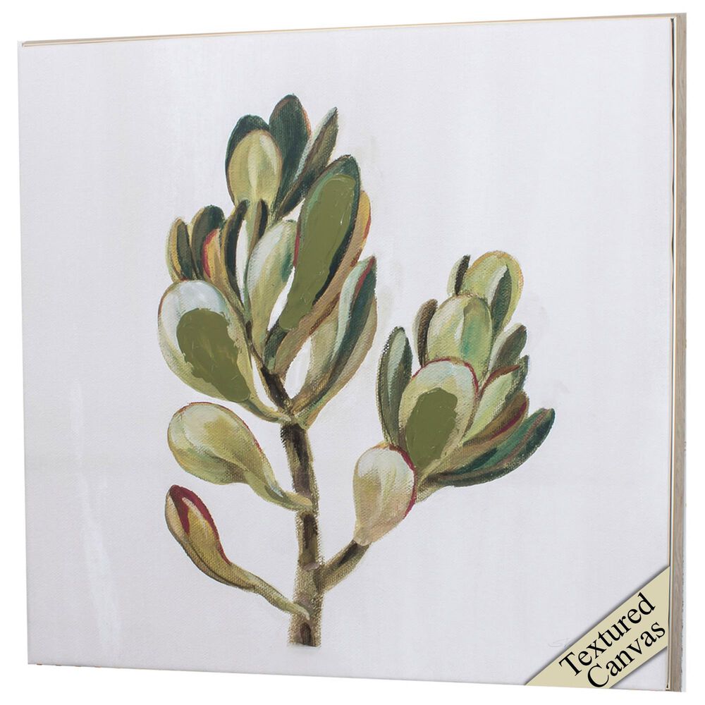 Propac "Succulents II" Wall Art in Green, , large