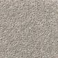 Shaw Simply the Best Momentum I Carpet in Canopy, , large