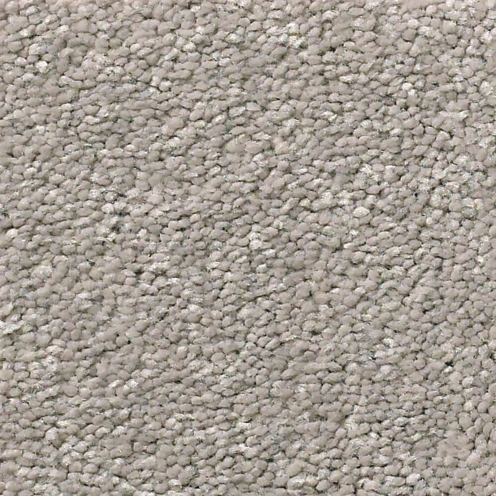 Shaw Simply the Best Momentum I Carpet in Canopy, , large