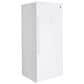 GE Appliances 21.3 Cubic Feet Frost-Free Upright Freezer, , large