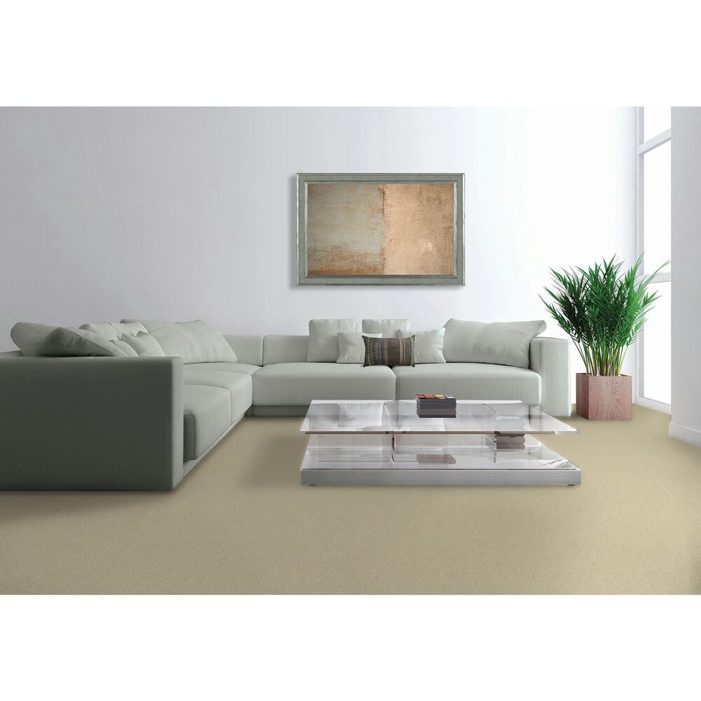 Mohawk Quality Feeling Carpet in Cimarron, , large