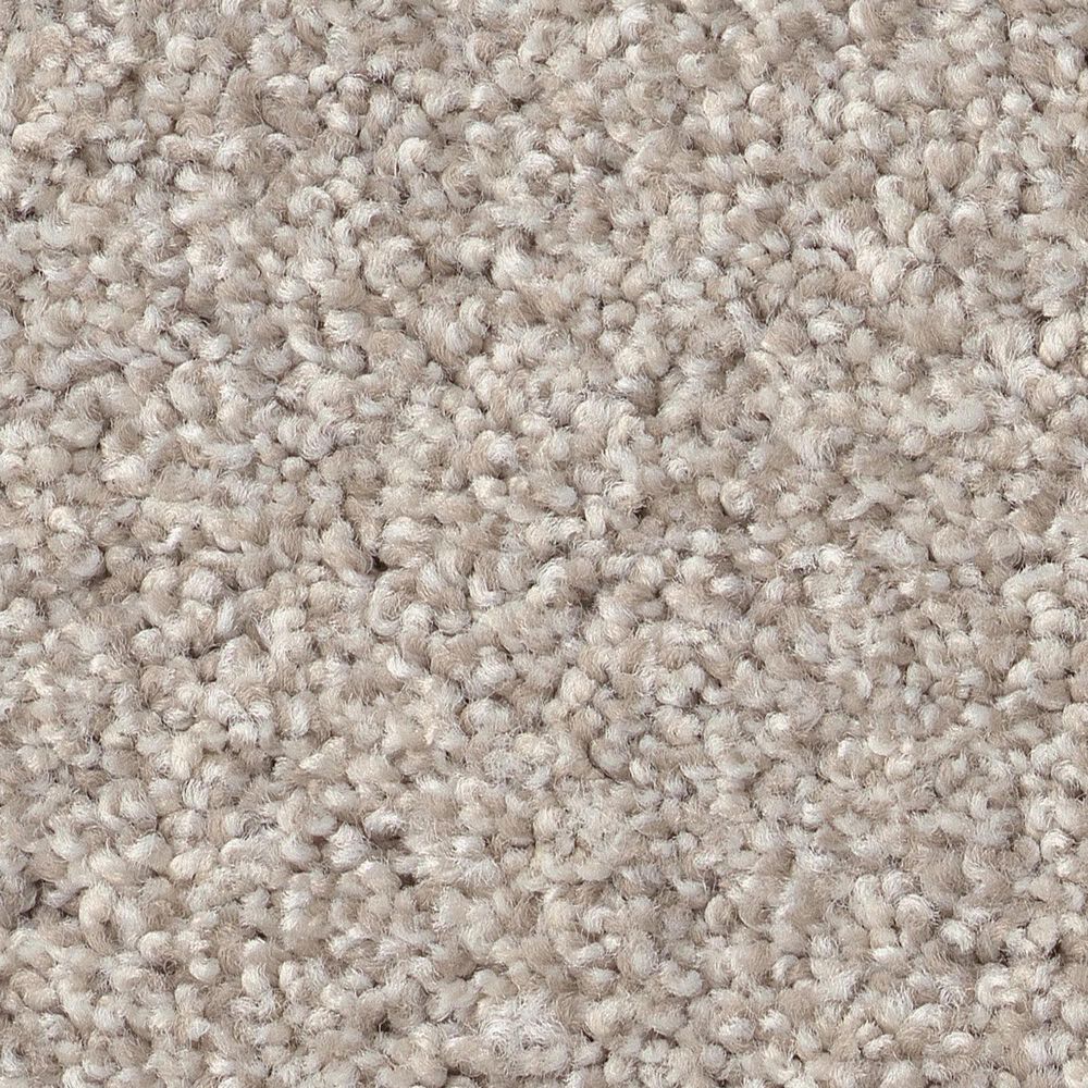 Shaw Live on Comfort Carpet in Mountain Mist, , large