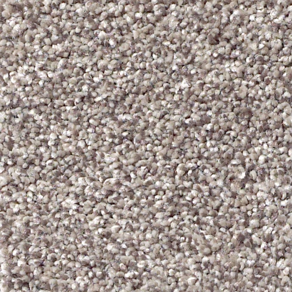 Shaw Foundations Take The Floor Tonal I Carpet in Tundra, , large