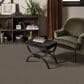 Anderson Tuftex Wyndham Estate Carpet in Sable, , large