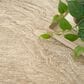Nourison Graceful 3"9" x 5"9" Taupe Area Rug, , large
