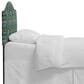 Skyline Furniture Mayfair California King Headboard in Bramble Emerald, , large
