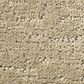 Anderson Tuftex Artistry Carpet in Coronado, , large