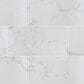 MS International Praia Carrara 12" x 24" Porcelain Tile, , large