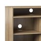 DHP South Haven Fireplace TV Stand in Natural, , large