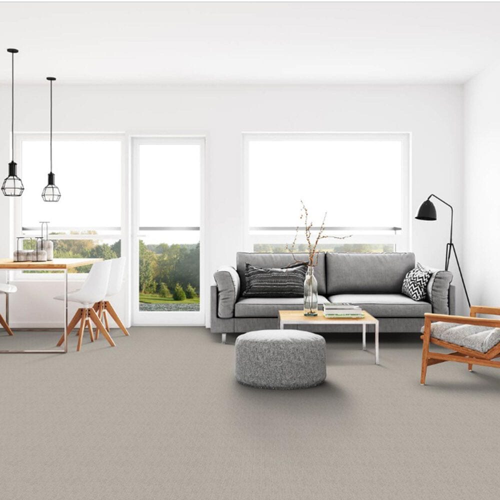Dixie Home Worthington Carpet in Tone, , large
