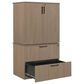 Regency Global Sourcing Legacy 2-Piece Lateral File with Stackable Storage Cabinet in Noble Oak, , large
