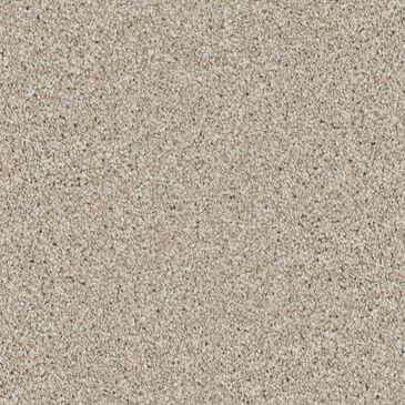 Dixie Home Devotion Carpet in Linen, , large