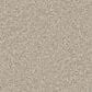 Dixie Home Devotion Carpet in Linen, , large