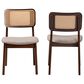 Baxton Studio Dannon Side Chair in Walnut Brown and Light Brown (Set of 2), , large