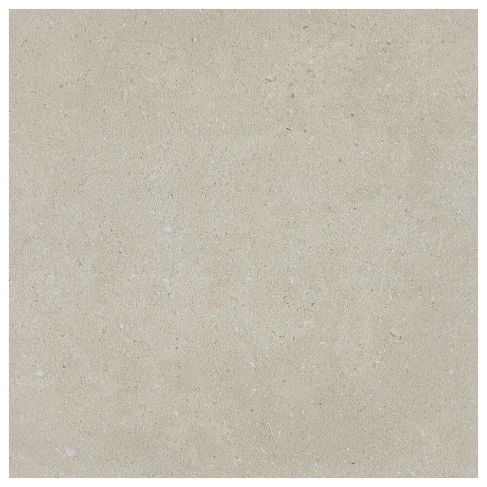Dal-Tile Outlander Echo 24" x 24" Palazzo Porcelain Tile, , large