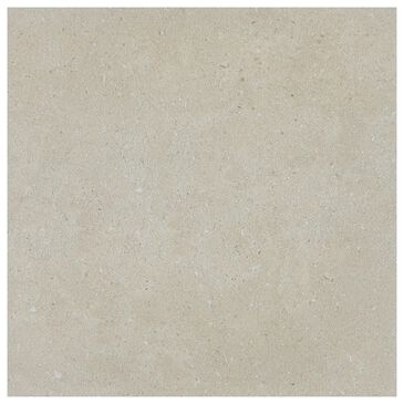 Dal-Tile Outlander Echo 24" x 24" Palazzo Porcelain Tile, , large