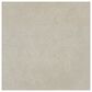 Dal-Tile Outlander Echo 24" x 24" Palazzo Porcelain Tile, , large