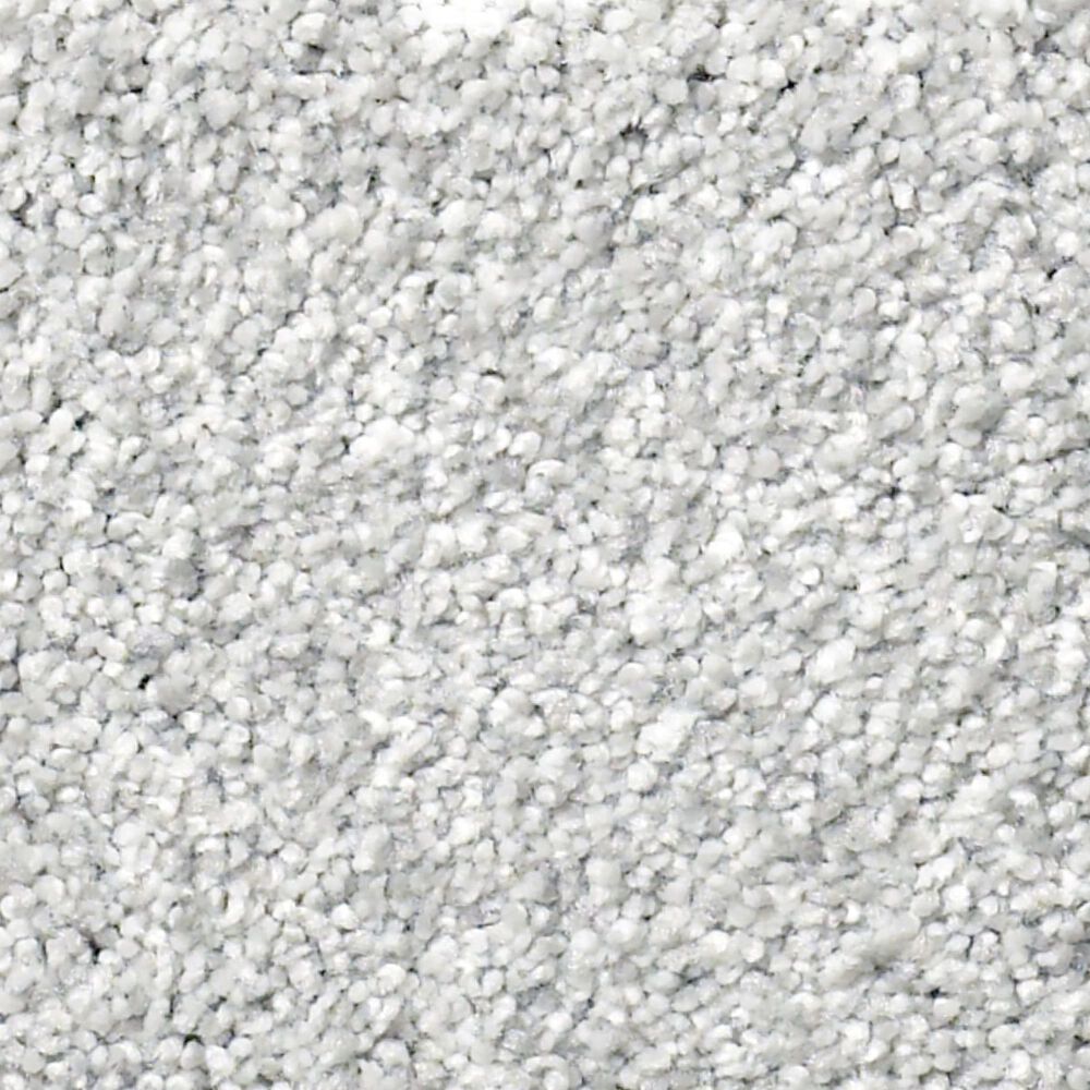 Shaw Find Your Comfort TT I Carpet in Bay Waves, , large